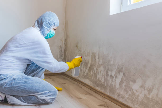 Licensed Mold Testing service in Hainesport, NJ - WQB Mold Removal