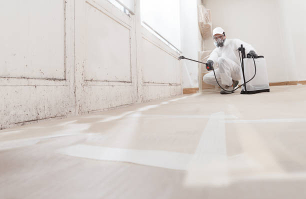24/7 Emergency Mold Testing experts in Hainesport, NJ