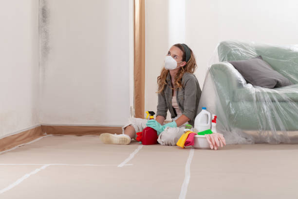 Reliable Mold Testing contractor in Hainesport, NJ by WQB Mold Removal
